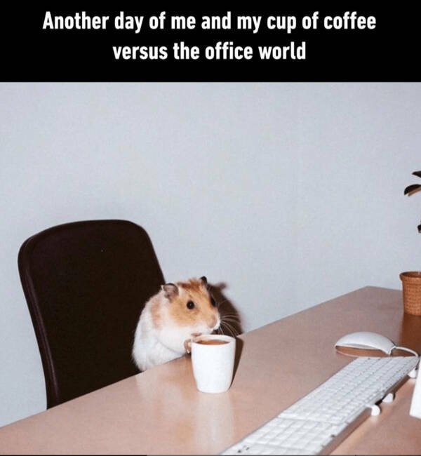 Brewing Up Laughs with Dogs and Coffee