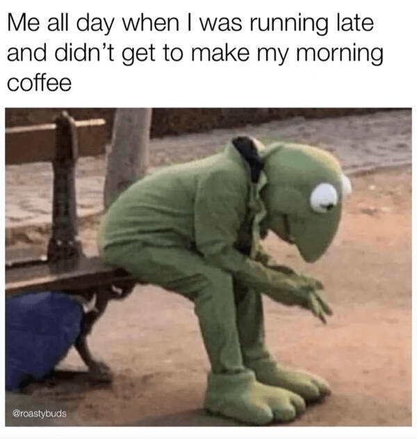 Brewing Up Laughs with Dogs and Coffee