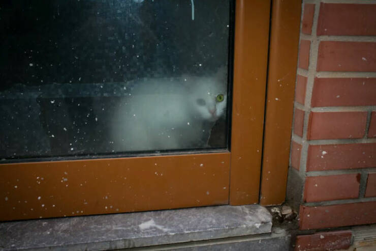 Life, Unscripted: Candid Street Shots