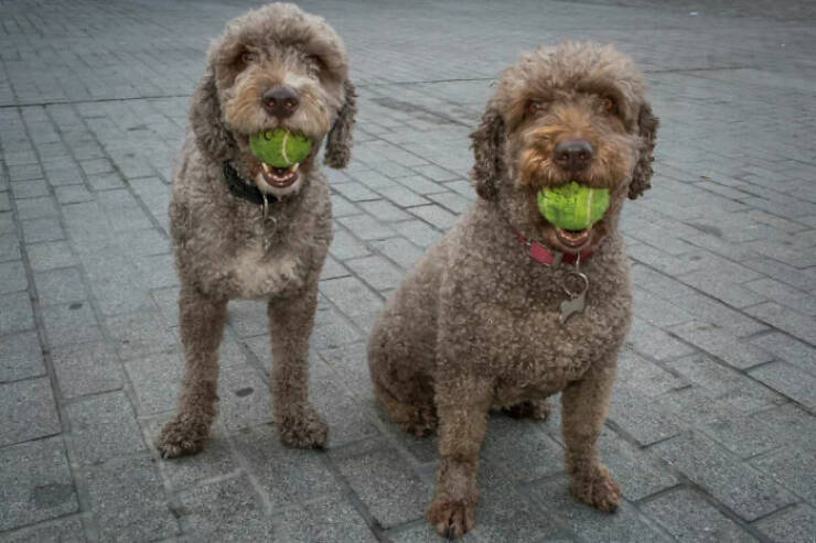 Life, Unscripted: Candid Street Shots