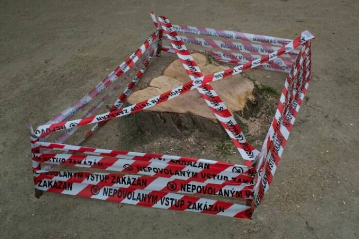 Life, Unscripted: Candid Street Shots