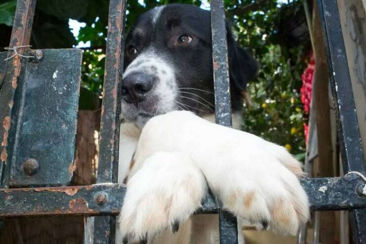 Life, Unscripted: Candid Street Shots