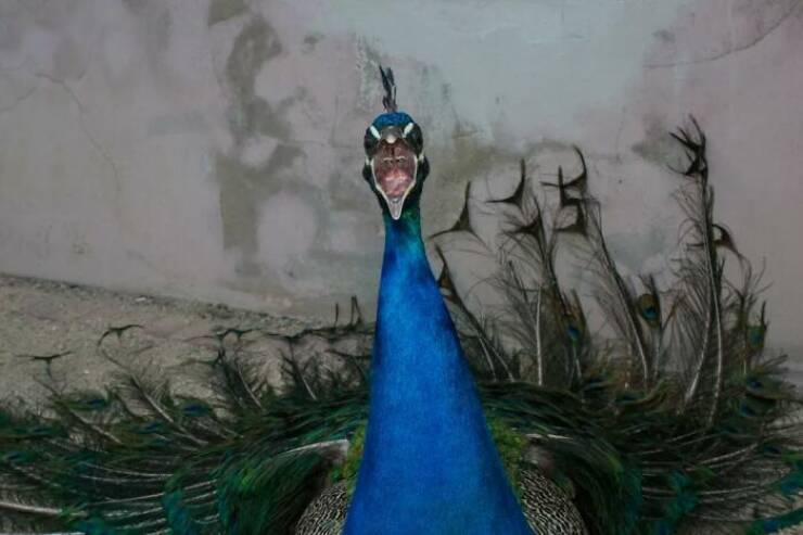 Life, Unscripted: Candid Street Shots