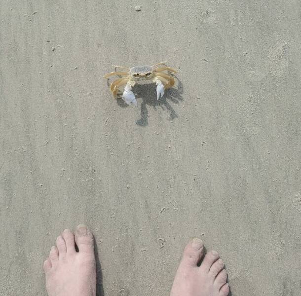 Surprising Discoveries Found on the Beach