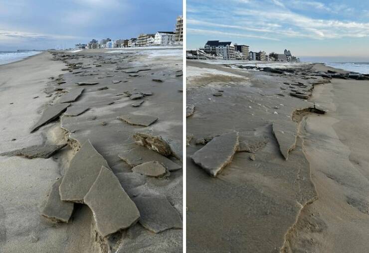 Surprising Discoveries Found on the Beach