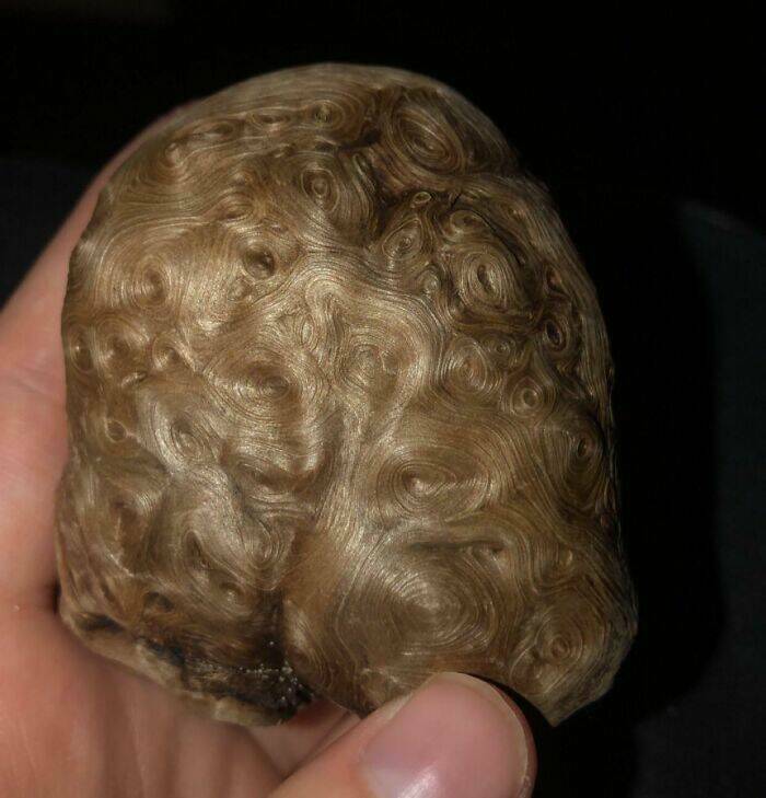 Surprising Discoveries Found on the Beach