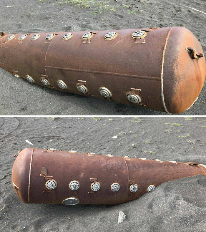 Surprising Discoveries Found on the Beach