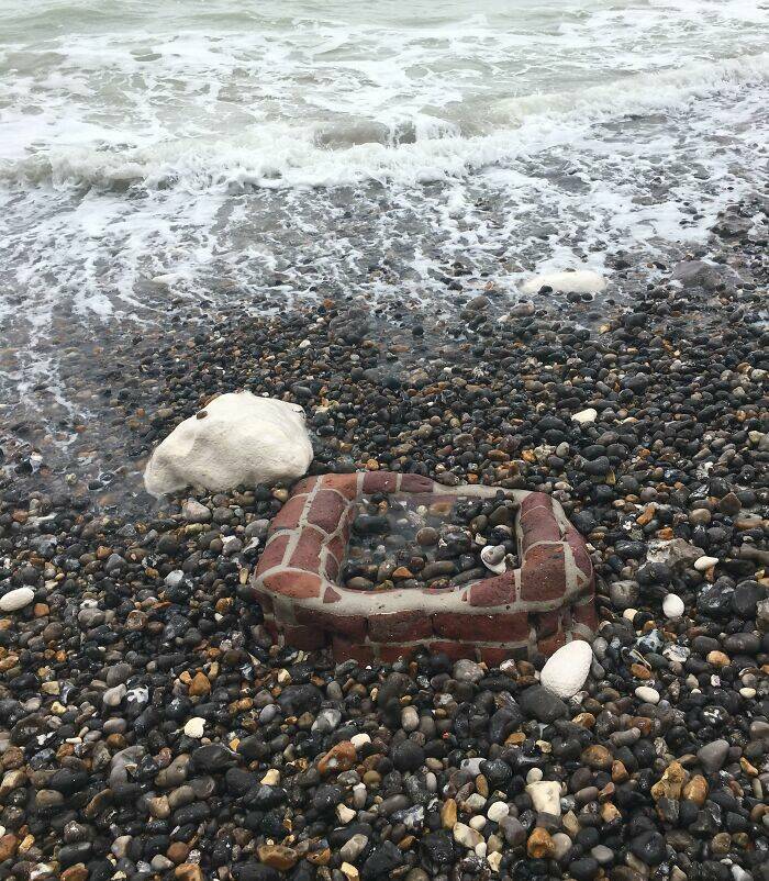 Surprising Discoveries Found on the Beach