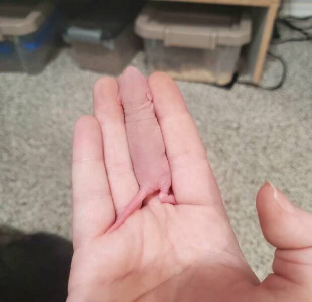 Accidental Camouflage That’ll Trick Your Eyes