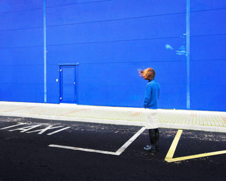 Accidental Camouflage That’ll Trick Your Eyes Accidental Camouflage That’ll Trick Your Eyes