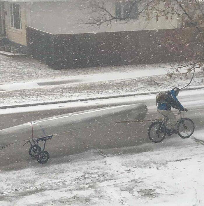 Accidental Camouflage That’ll Trick Your Eyes