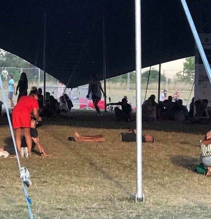 Accidental Camouflage That’ll Trick Your Eyes