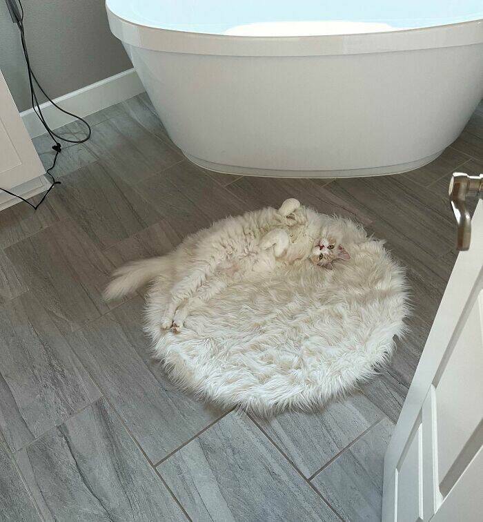 Accidental Camouflage That’ll Trick Your Eyes