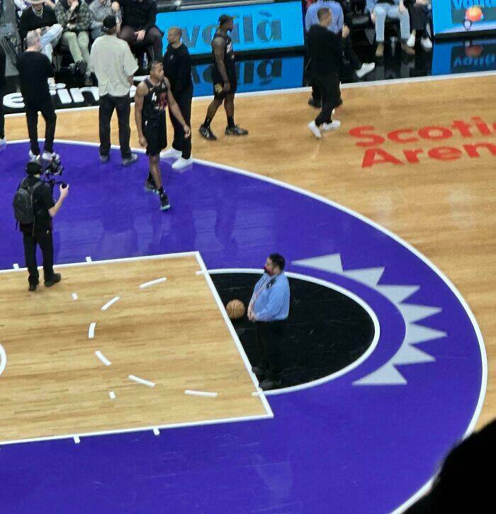 Accidental Camouflage That’ll Trick Your Eyes