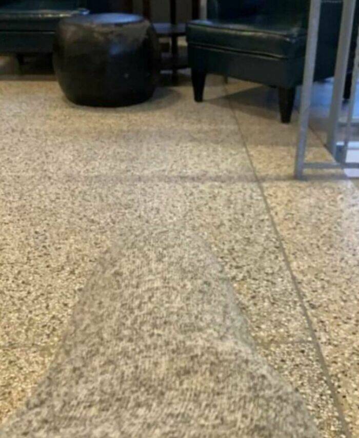 Accidental Camouflage That’ll Trick Your Eyes Accidental Camouflage That’ll Trick Your Eyes