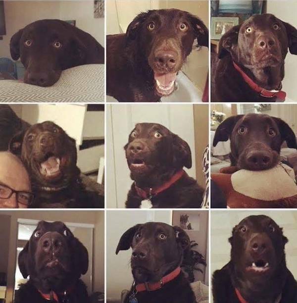 https://img.izismile.com/img/img15/20250903/640/daily_picdump_5008_640_high_52.jpg