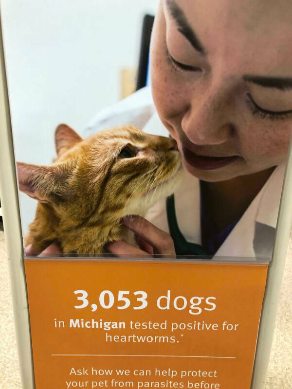 Design FAILs vs Design WINS!