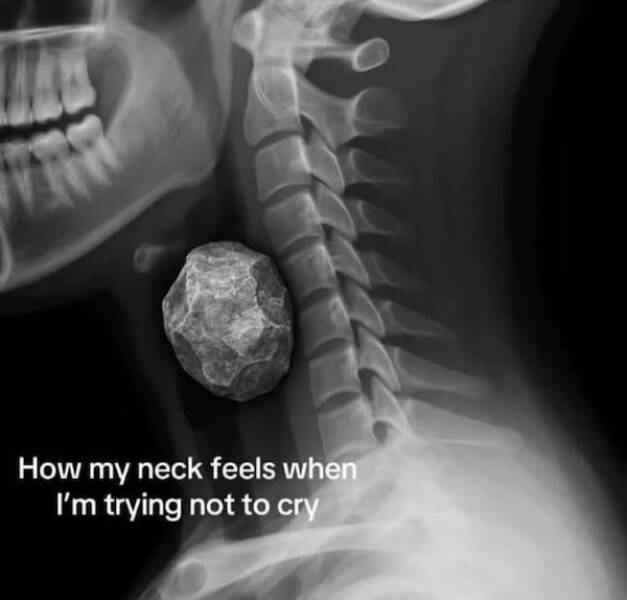 Wholesome Memes for Kind Souls