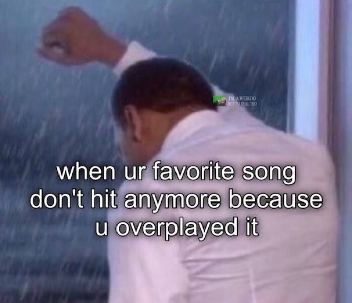 Wholesome Memes for Kind Souls