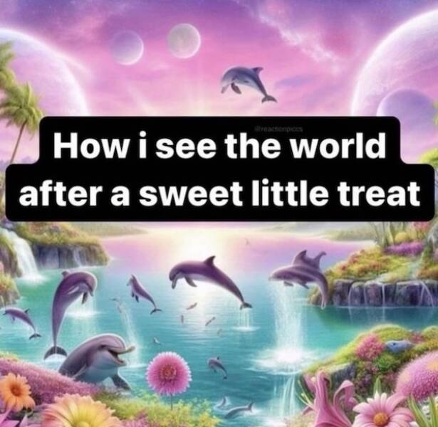 Wholesome Memes for Kind Souls