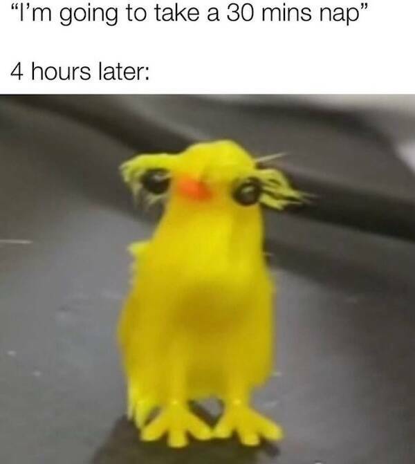 Wholesome Memes for Kind Souls