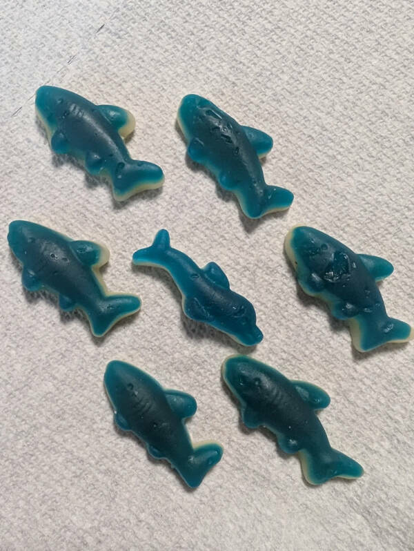 Everyday Scenes with an Interesting Twist