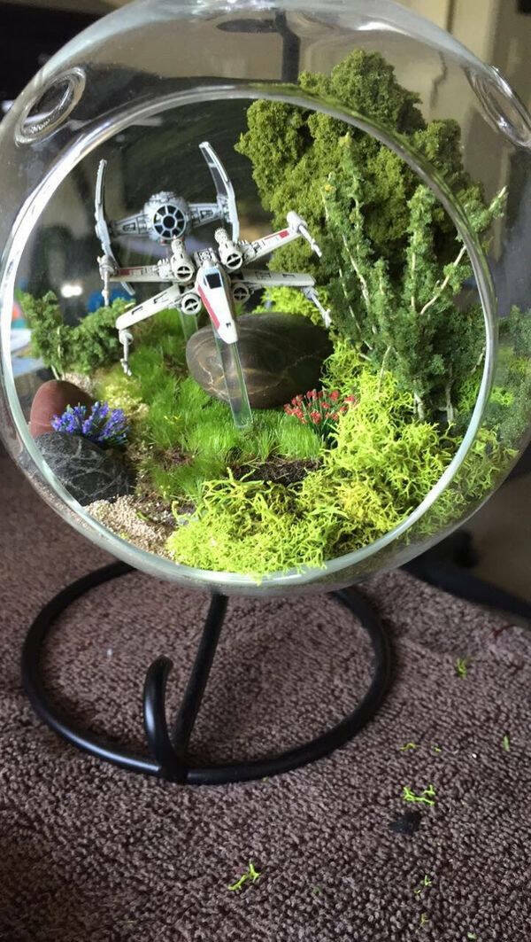 This Is Just Plain Cool