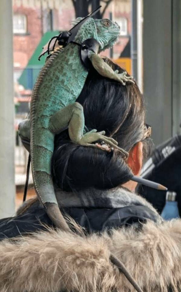 Wait… What’s Going On Here?