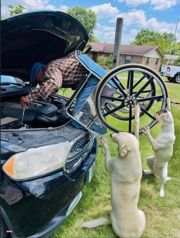 Wait… What’s Going On Here?