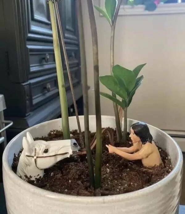 Wait… What’s Going On Here?