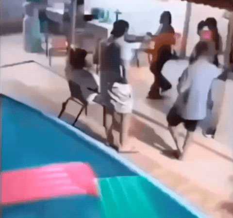 Daily Gifdump Daily Gifdump