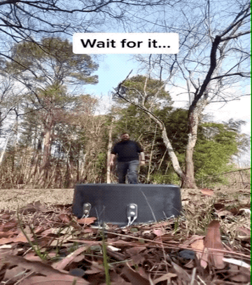 Daily Gifdump Daily Gifdump