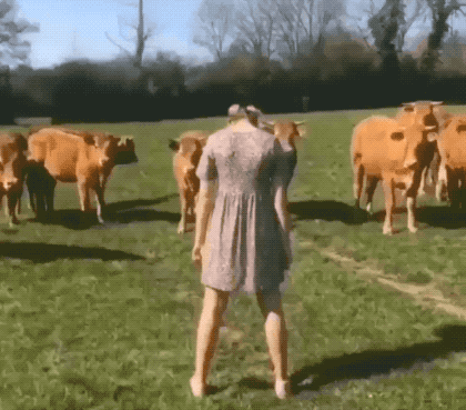 Wait… What’s Going On Here?