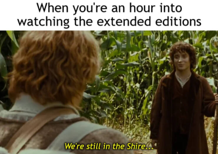 One Meme to Rule Them All