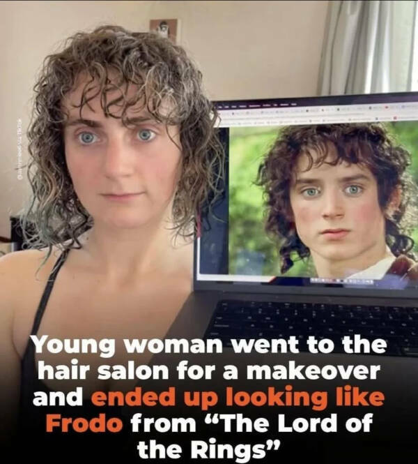 One Meme to Rule Them All