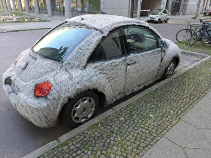 Unexplainable Pics Straight Out of Chaos