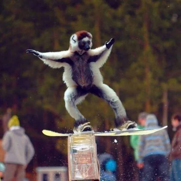 Unexplainable Pics Straight Out of Chaos