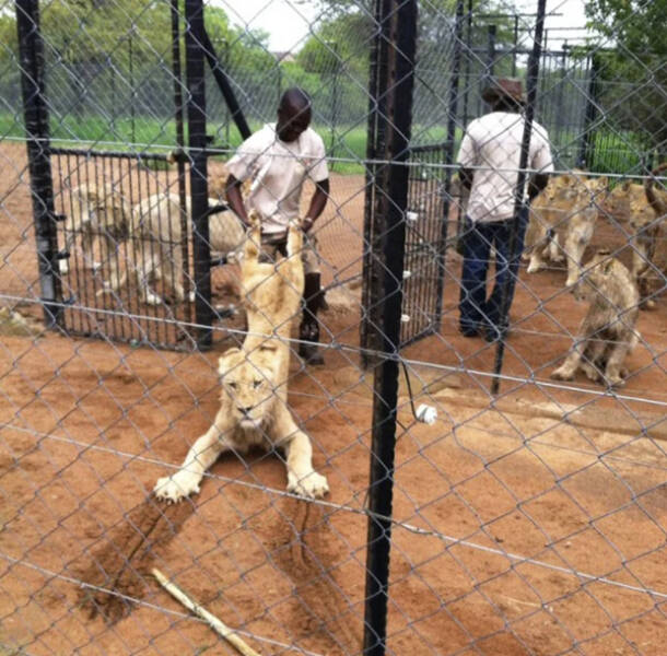 Unexplainable Pics Straight Out of Chaos