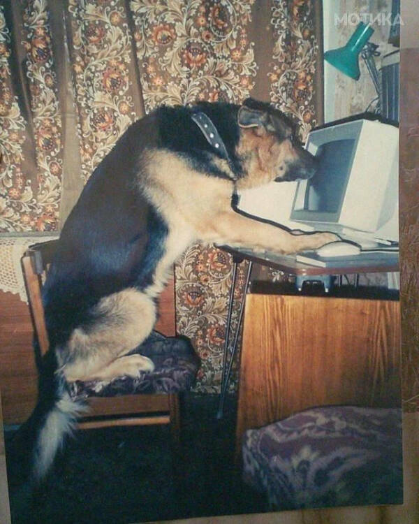 Unexplainable Pics Straight Out of Chaos