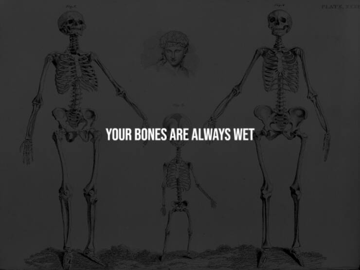 Unsettling Facts You Wish You Didn’t Know