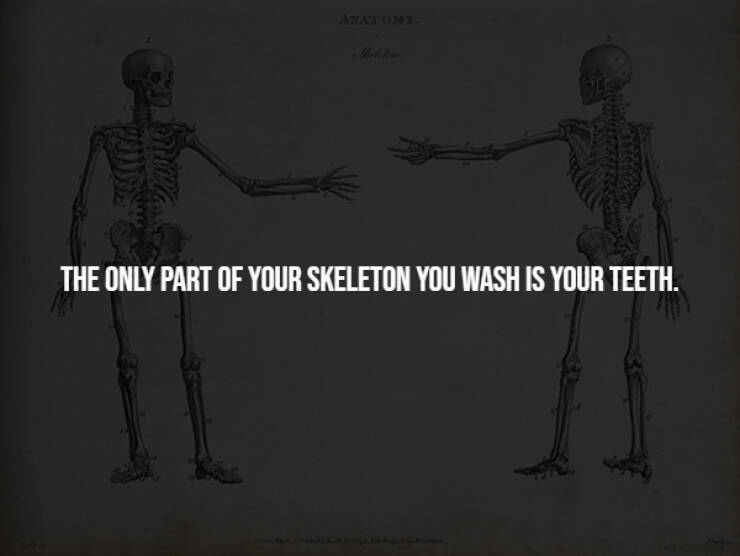 Unsettling Facts You Wish You Didn’t Know