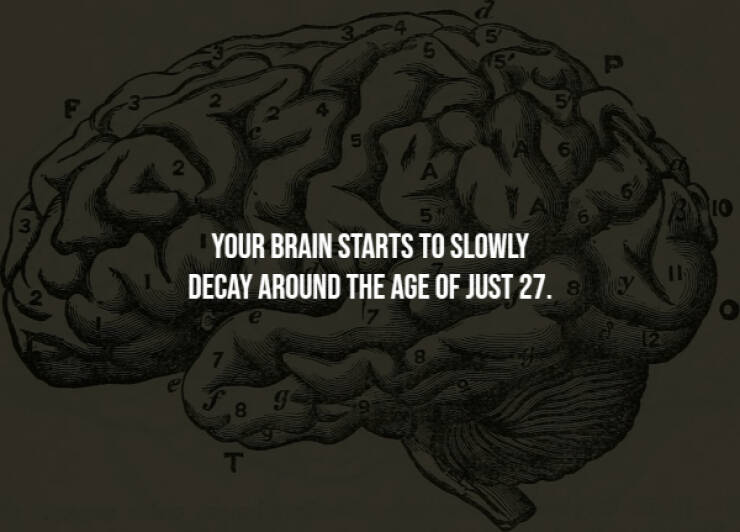 Unsettling Facts You Wish You Didn’t Know