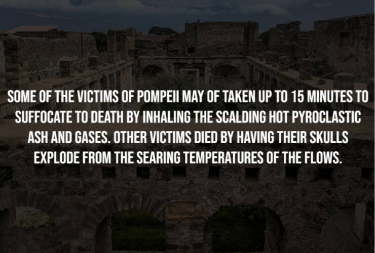 Unsettling Facts You Wish You Didn’t Know