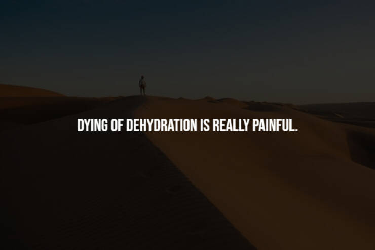 Unsettling Facts You Wish You Didn’t Know