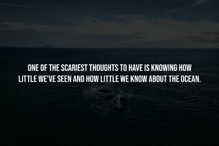 Unsettling Facts You Wish You Didn’t Know