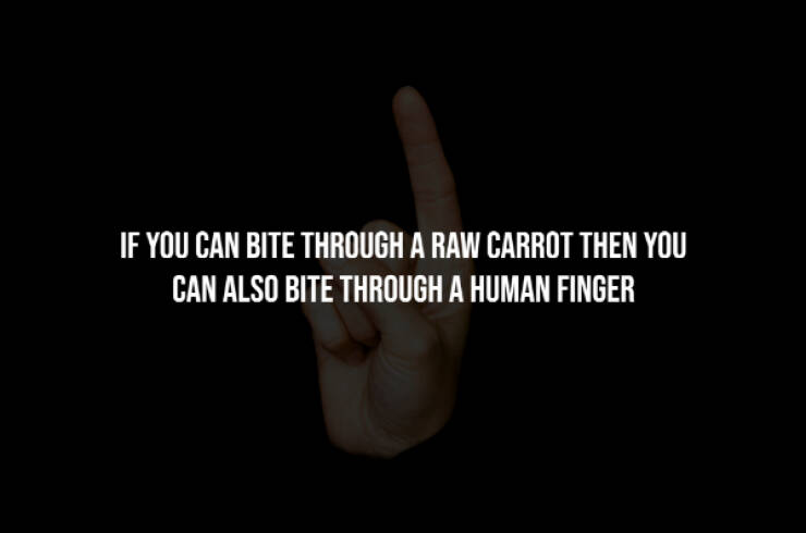 Unsettling Facts You Wish You Didn’t Know