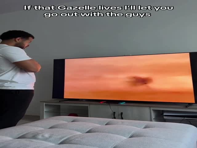 The Bond of Friendship