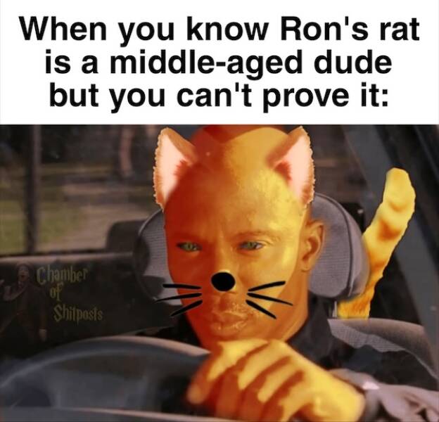 The Funniest Memes from the Wizarding World