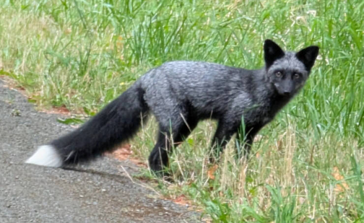 Awesome Pics Worth Sharing