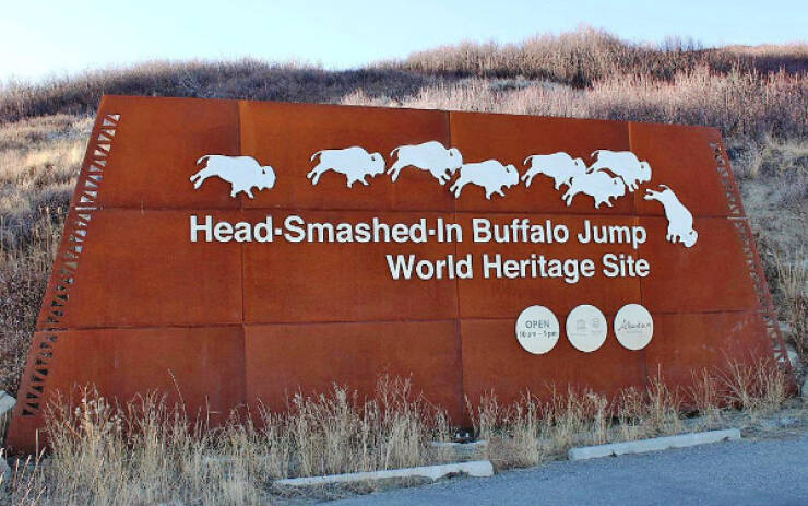 Awesome Pics Worth Sharing